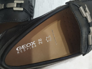 Piele m28 Geox foto 4