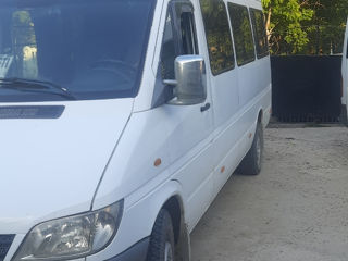 Mercedes Sprinter 313 foto 2