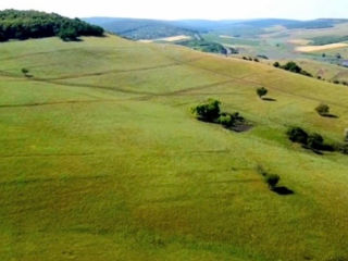 Hincesti 19 hectare pe un număr cadastral marginea orasului lingă pădure foto 2