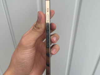 iPhone 12 Pro Max Gold foto 6