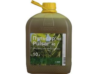 Pulsar 40- erbicid pentru hibrizi CL