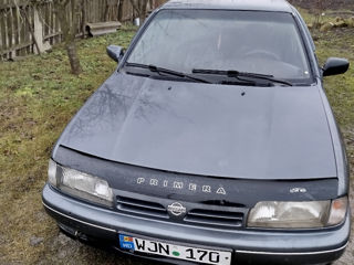 Nissan Primera foto 3