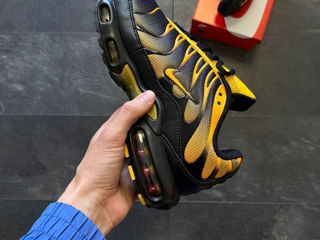 Nike Air Max Tn Plus Sundial foto 6