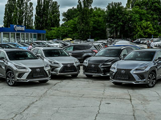 Lexus NX Series
