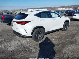 Lexus NX Series foto 5