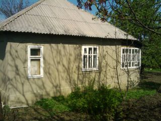 Se vinde casă de piatră în Sănătăuca , Floreşti,(Сенатовка, Сэнэтэука село района Флорешть,торг) foto 8