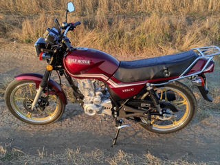 Wolf Motors 125cc foto 4