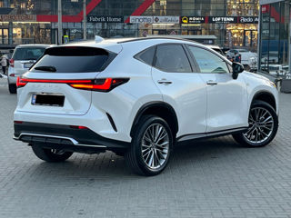 Lexus NX Series foto 5