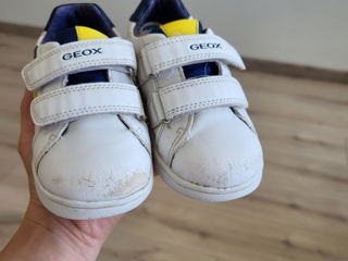 Geox mar.26