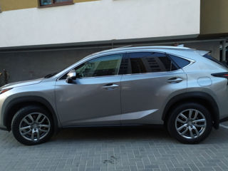 Lexus NX Series foto 9