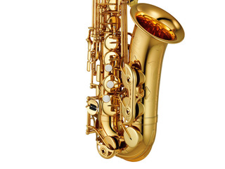 Saxofon alto Yamaha YAS-480. Plata în 3 rate 0%. Livrare gratuita în toată Moldova. foto 3