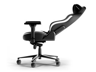 Геймерское Кресло - «DXRacer Craft L CRAFT-XL-F23-LTA-NW-X1 Black/White» foto 2