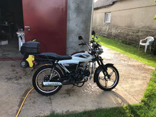 Viper rx 110