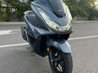 Honda Pcx foto 6