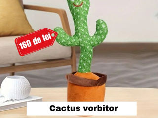 Cactus vorbitor