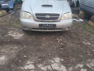 KIA carnival foto 2