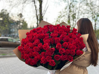 Bujori, trandafiri. livrare flori 24/24. delivery flowers foto 3