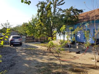 Casa in satul Tiganca situata pe 24 ari/sote: vita de vie + pomi fructiferi foto 8