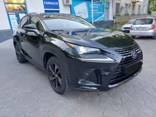 Lexus NX Series