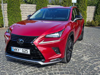 Lexus NX Series foto 8