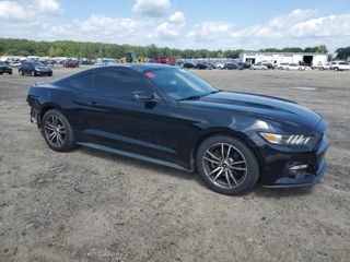 Ford Mustang foto 3