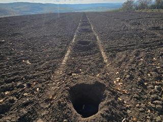 Gauri pentru copaci,stilpi de metal beton foto 3