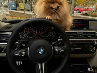 BMW 3 Series foto 10