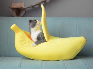 Лежанка в виде банана для домашних животных. Pat cu banane pentru animale de companie