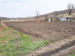 De vînzre teren pentru construcție, 15  ari,  zonă ecologică, s. Buneț foto 5