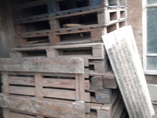Palet