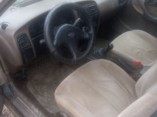 Nissan Primera foto 3