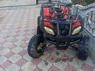 Viper Atv