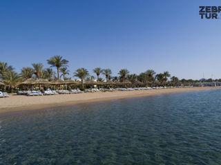 Egipt, Sharm El Sheikh - Maritim Jolie Ville Resort & Casino 5* foto 5