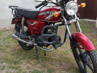 Alpha Moto Alpha 110 foto 2