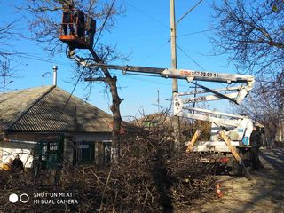 Servicii de tăiere a copacilor cu mașini Autoturn! foto 7