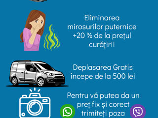 Curațare cu deplasare a mobilei foto 13