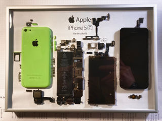 Разобранный iPhone 5c в рамке