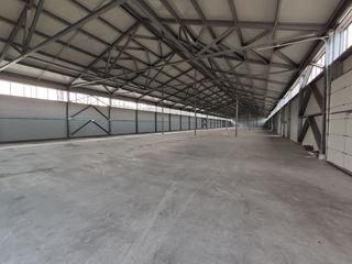 Depozit cu rampa spre Chirie. 576 - 3000 m2 foto 2