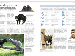 The Cat Encyclopedia: The Definitive Visual Guide (DK Pet Encyclopedias) foto 9