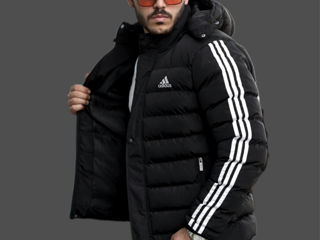 Adidas Nike Prada The North Face