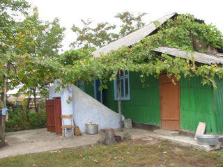 Se vinde casa in Tarigrad (Glavan) , raionul Drochia. Продается дом в Цариграде, Дрокиевский район. foto 3