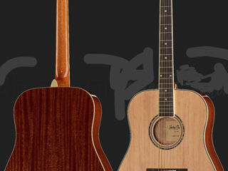 Fender, Aria.... guitars folck rock instrument..acoustic folk rok. Hi foto 2