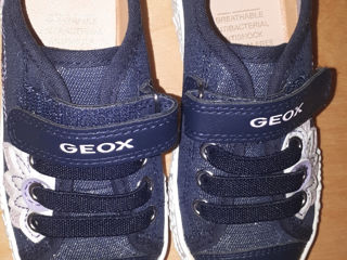 Ghete Geox