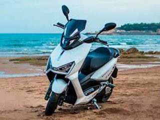 Alpha Moto TIGR X6 foto 6