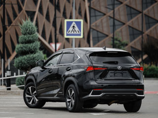 Lexus NX Series foto 6