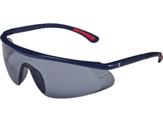 Ochelari de protecţie Barden - gri / Защитные очки с регулируемыми дужками Barden - темные