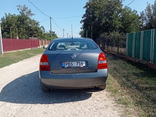 Nissan Primera foto 6