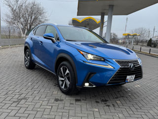 Lexus NX Series