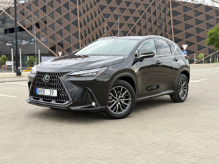 Lexus NX Series, 2023 г.