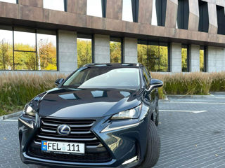 Lexus NX Series